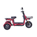 ZTECH ZT-29 Das Elektrofahrzeug Panasonic 26Ah Li-Ion 2 x 800W 45Km/h