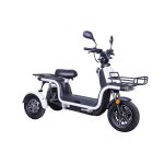 ZTECH ZT-29 Das Elektrofahrzeug Panasonic 26Ah Li-Ion 2 x 800W 45Km/h