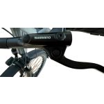 Corratec E-Power Urban 28 Elektrofahrrad