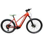 Corratec E-Power X-Vert Race Gent Elektrofahrrad