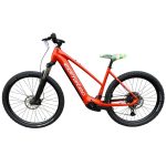 Corratec E-Power X-Vert Race Gent Elektrofahrrad