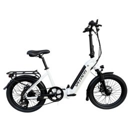 Special99 eVerona electric bicycle 36 Volt 250 Watt