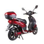 Ztech ZT-09 Klassisches Elektro-Fahrrad, Roller 300W