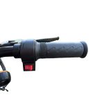 Ztech ZT-02 F Speed Elektrofahrrad 48V 12Ah 350 Watt