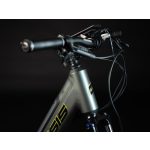 Crussis e-Country 7.8 Elektrofahrrad 2023