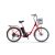 Ztech ZT-32 C Electric Bicycle Lithium-Ion