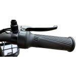 Ztech ZT-02 F Speed Elektrofahrrad 48V 12Ah 350 Watt