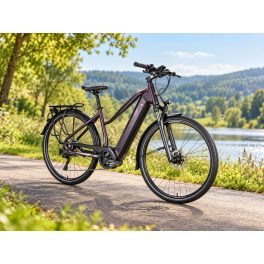   Gepida Alboin Curve TR L10 elektromos kerékpár – Bosch 75 Nm, 625 Wh – rendkívüli akció