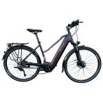 Gepida Alboin Curve TR L10 elektromos kerékpár – Bosch 75 Nm, 625 Wh – rendkívüli akció