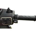 Lofty 7 D Delivery Elektroroller 70 km/h!!!