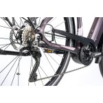 Gepida Alboin Curve L XT10 elektromos kerékpár 2025