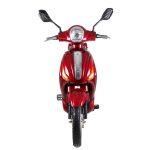 Ztech ZT-09 Klassisches Elektro-Fahrrad, Roller 300W