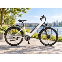 Elektrofahrrad Ztech ZT-83 Venezia