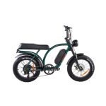 Ztech ZT-89 A Folding Electric Bicycle