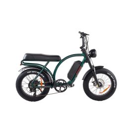 Ztech ZT-89 A Folding Electric Bicycle