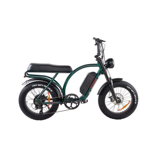 Ztech ZT-89 A Folding Electric Bicycle