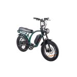 Ztech ZT-89 A Folding Electric Bicycle