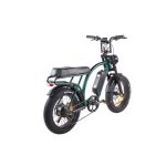 Ztech ZT-89 A Folding Electric Bicycle