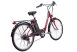 Ztech ZT-32 Electric Bicycle Lithium-Ion