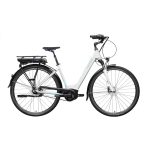 Gepida Reptila 1000 Nexus 7 E-Bike BOSCH