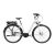 Gepida Reptila 1000 Nexus 7 E-Bike BOSCH