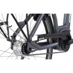 Gepida Reptila 1000 Nexus 7 RT E-Bike BOSCH 2023