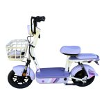 Ztech ZT-02 F Speed Elektrofahrrad 48V 12Ah 350 Watt