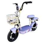 Ztech ZT-02 F Speed Elektrofahrrad 48V 12Ah 350 Watt