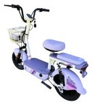 Ztech ZT-02 F Speed Elektrofahrrad 48V 12Ah 350 Watt