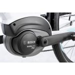 Gepida Alboin TR Alivio 9 Elektrofahrrad Bosch 2025