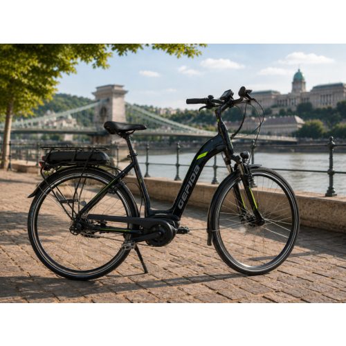 Gepida Reptila 1000 Nexus 7 elektromos kerékpár – Bosch Active Line 250 W, 360 Wh