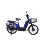 Ztech ZT-01 Laser Elektro Fahrrad 480W