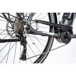 Gepida Alboin TR Alivio 9 elektromos kerékpár Bosch 2025