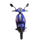 Ztech ZT-09 Klassisches Elektro-Fahrrad, Roller 300W