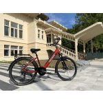 Special99 eCity elektromos kerékpár Panasonic akku