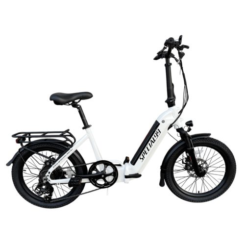 Special99 eVerona Elektrofahrrad 36 Volt 250 Watt