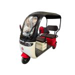 Ztech ZT-17 Gull elektrisches Dreirad Dreirad