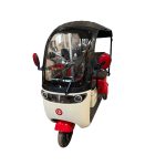 Ztech ZT-17 Gull elektrisches Dreirad Dreirad