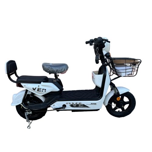 Ztech ZT-02 F Speed electric bike 48V 12Ah 350 Watt