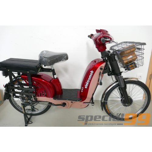 E-MOB19 Elektro Fahrrad 300W