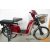 E-MOB19 Elektro Fahrrad 300W