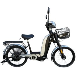 Ztech ZT-02 F Speed electric bike 48V 12Ah 350 Watt